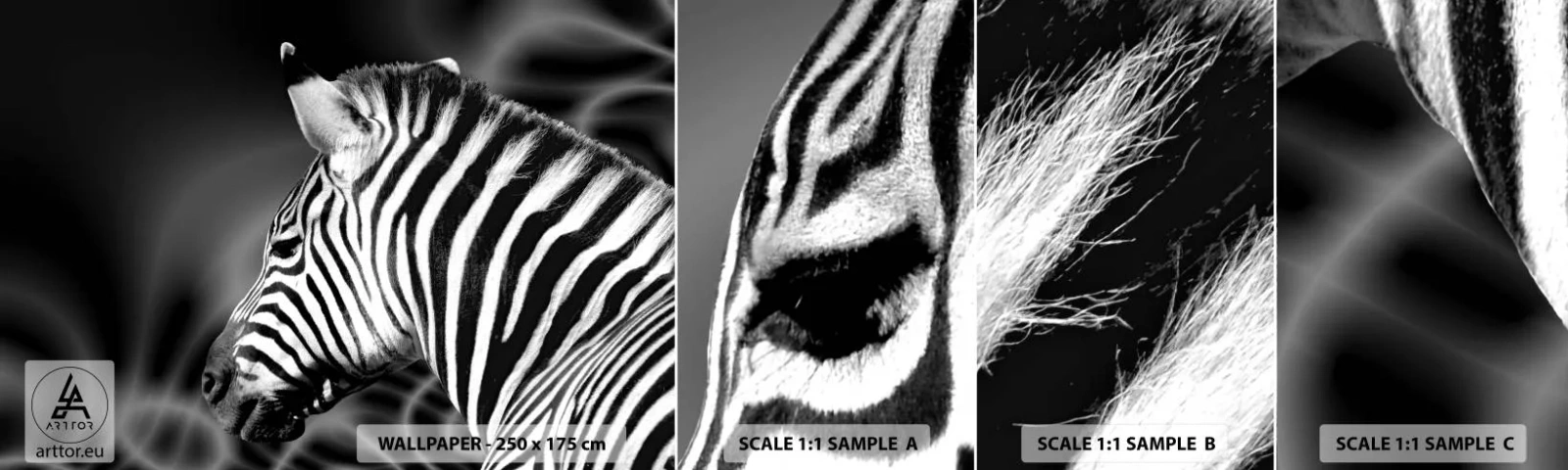 Muestra De Fotomural Standard Eco - El blanco es blanco, el negro es negro - costillas, En blanco y negro, animales - 100x30 cm