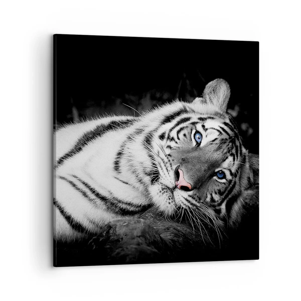 Cuadro sobre lienzo - Impresión de Imagen - Salvaje y tranquilo - 50x50 cm