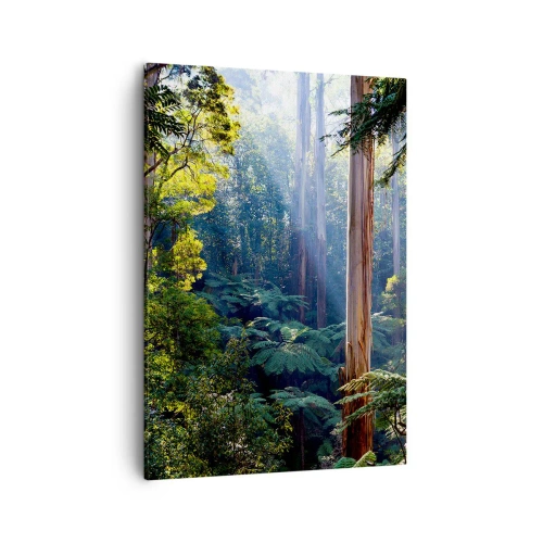 Cuadro sobre lienzo - Impresión de Imagen - Bosque tropical iluminado por los rayos del sol - 50x70cm - Un cuento de hadas del bosque - Decoración de pared moderna para salón y dormitorio ARTTOR