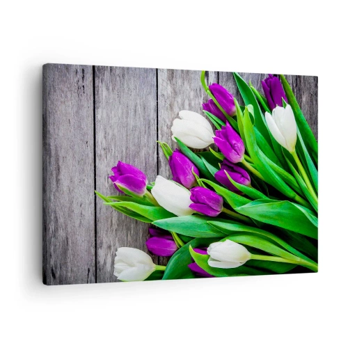 Cuadro sobre lienzo - Impresión de Imagen - Un ramo de tulipanes morados y blancos sobre un fondo de madera. - 70x50cm - El día de la fiesta de la primavera - Decoración de pared moderna para salón y dormitorio ARTTOR