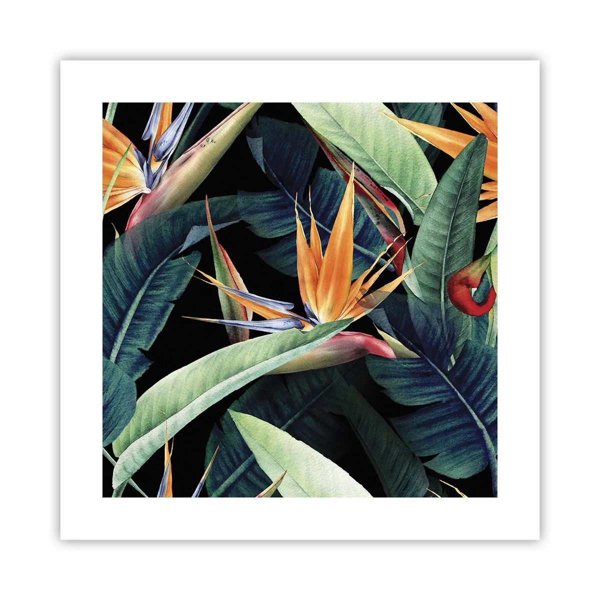 Póster - Flores de llamas de los trópicos - 40x40 cm