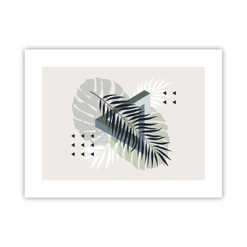 Póster - Naturaleza y geometría - 40x30 cm