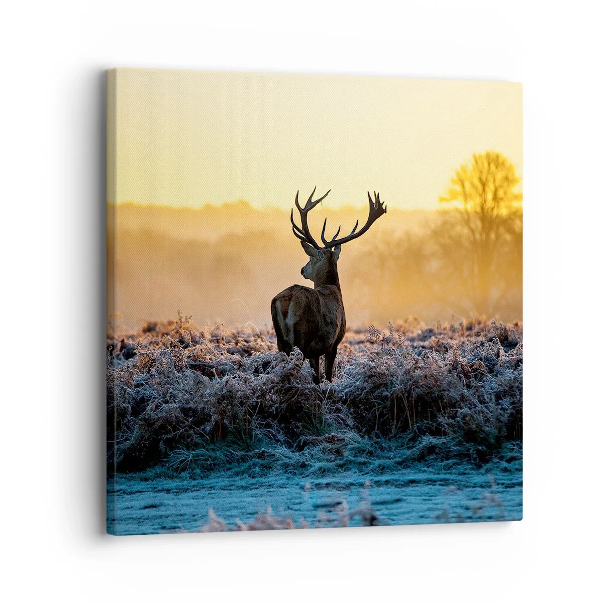 Cuadro sobre lienzo - Impresión de Imagen - Coronado en sus propios dominios - 30x30 cm