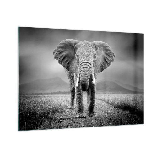 Cuadro sobre vidrio - Impresiones sobre Vidrio - Elefante en la sabana en blanco y negro - 100x70cm - El anfitrión da la bienvenida - Decoración de pared moderna para salón y dormitorio ARTTOR