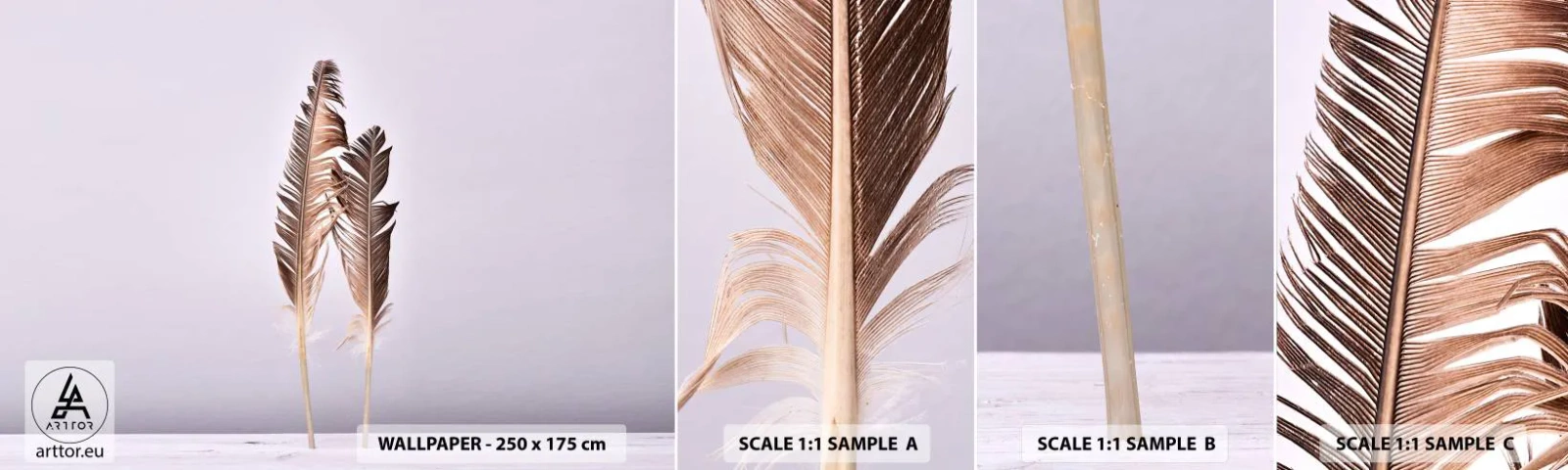 Muestra de fotomural autoadhesivo Deluxe Sticker - Contra la nada - Pluma de ave, Pedazo, Gráficos - 100x30 cm