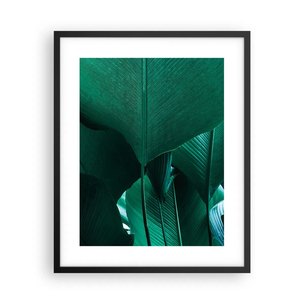 Póster en marco negro - De cara a la luz - 40x50 cm