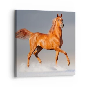 Cuadro sobre lienzo - Impresión de Imagen - Danza al viento - 30x30 cm