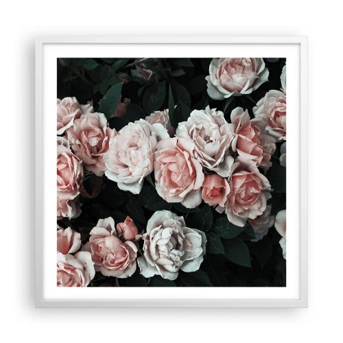 Póster en marco blanco - Conjunto de rosas - 60x60 cm