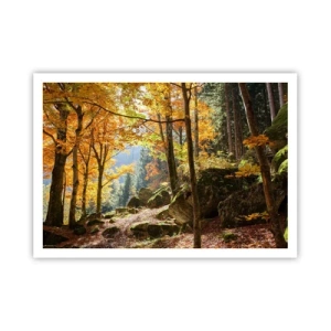 Póster - Un bosque otoñal lleno de hojas doradas y luz solar. - 100x70cm - Tiempo de descanso - Decoración de pared moderna para salón y dormitorio ARTTOR