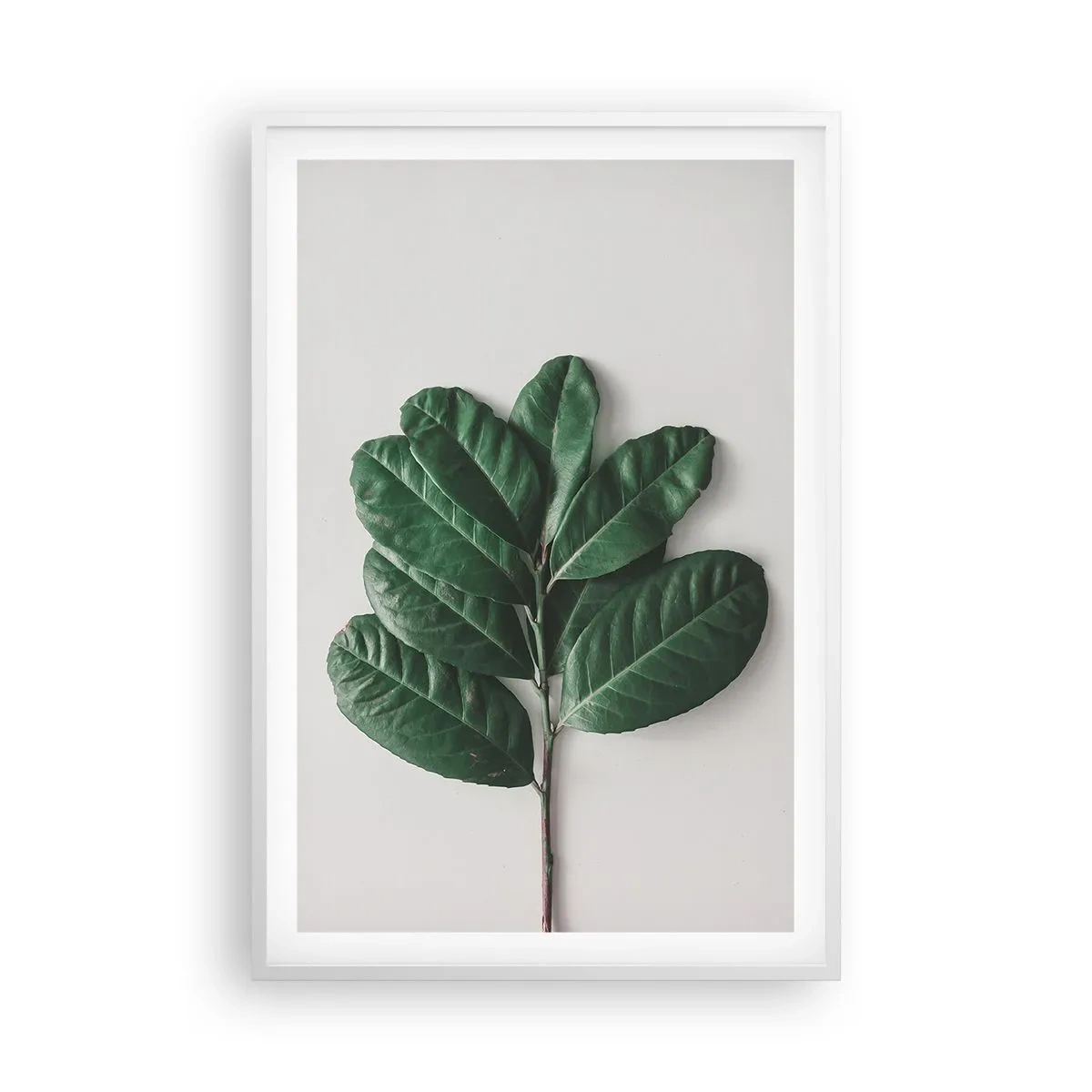 Póster en marco blanco - El dibujo de la propia naturaleza - 61x91 cm