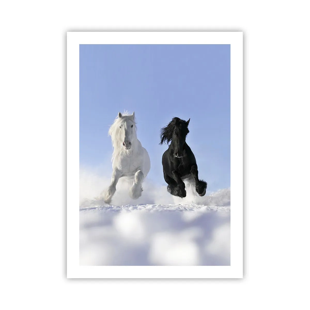 Póster - Un caballo blanco y negro galopando en la nieve. - 50x70cm - Galope blanco y negro - Decoración de pared moderna para salón y dormitorio ARTTOR
