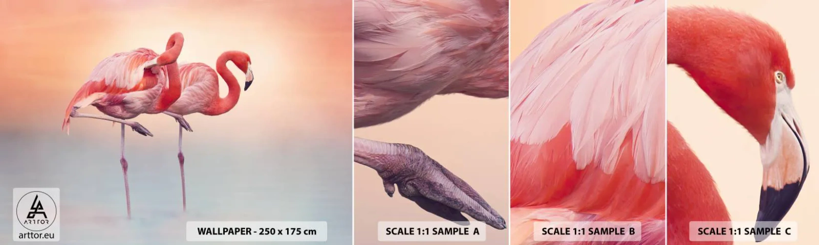 Muestra De Fotomural Standard Eco - Elegancia bajo el sol de poniente - flamencos, Aves, Naturaleza - 100x30 cm