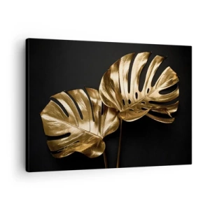 Cuadro sobre lienzo - Impresión de Imagen - Hojas de monstera doradas sobre fondo negro - 70x50cm - Tesoros de la naturaleza - Decoración de pared moderna para salón y dormitorio ARTTOR