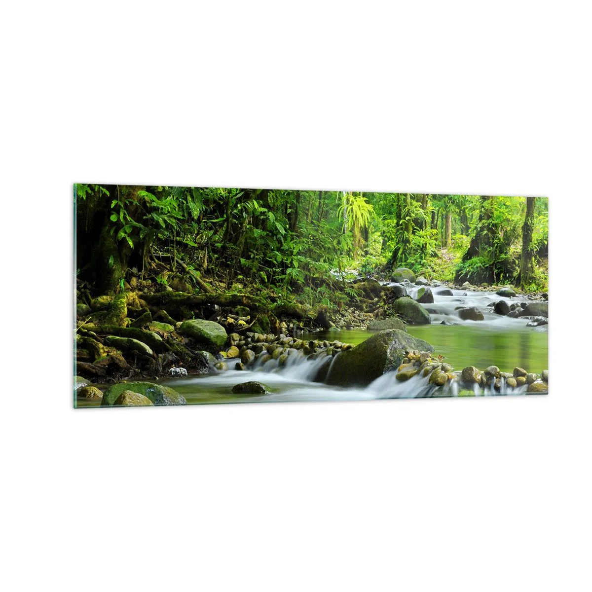 Cuadro sobre vidrio - Impresiones sobre Vidrio - Flotar en un mar de verde - 100x40 cm