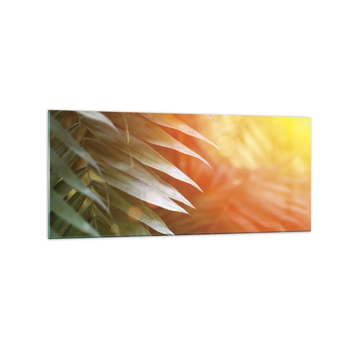 Cuadro sobre vidrio - Impresiones sobre Vidrio - Hojas de palma en los rayos del atardecer. - 120x50cm - Mañana en la selva - Decoración de pared moderna para salón y dormitorio ARTTOR
