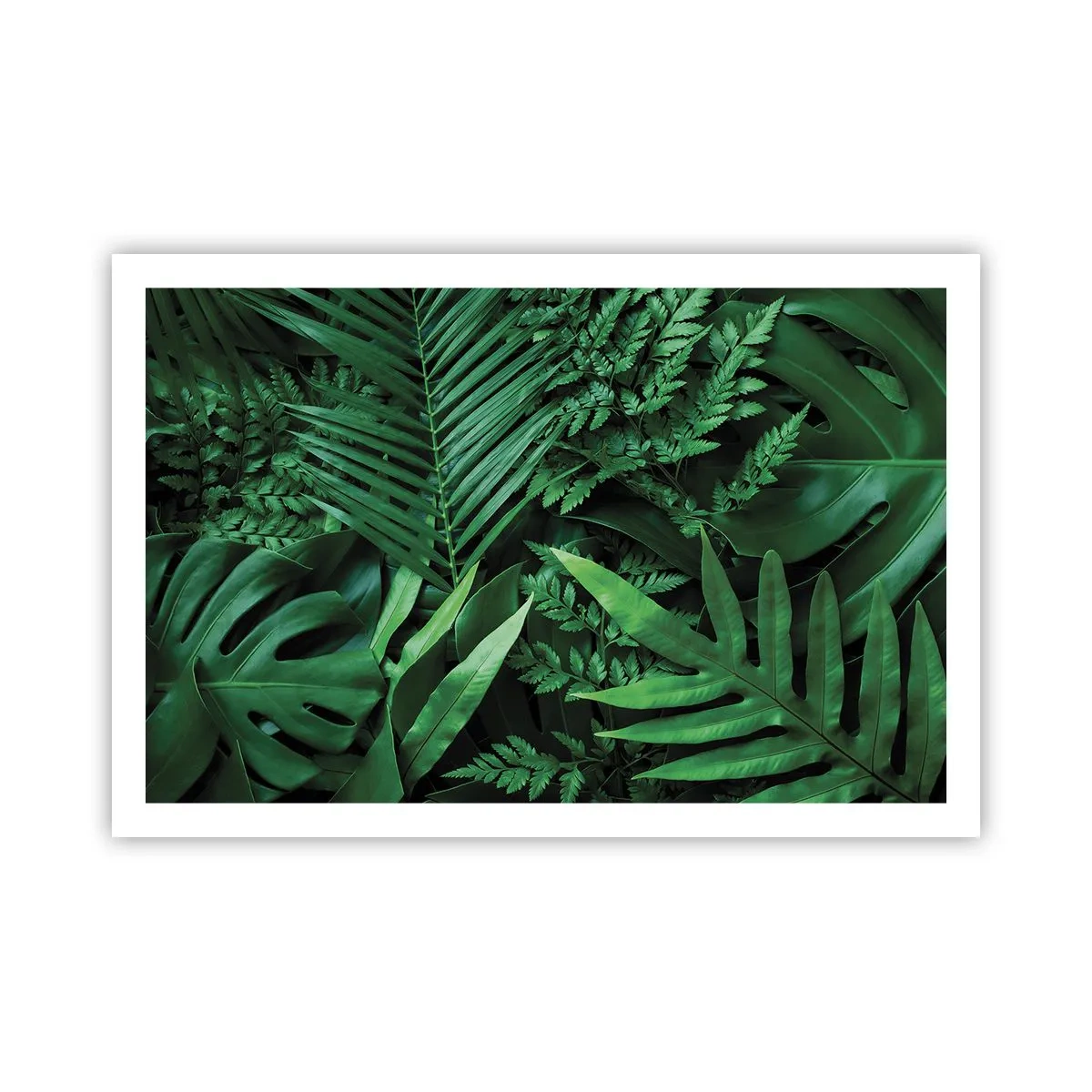 Póster - Abrazo verde - 91x61 cm