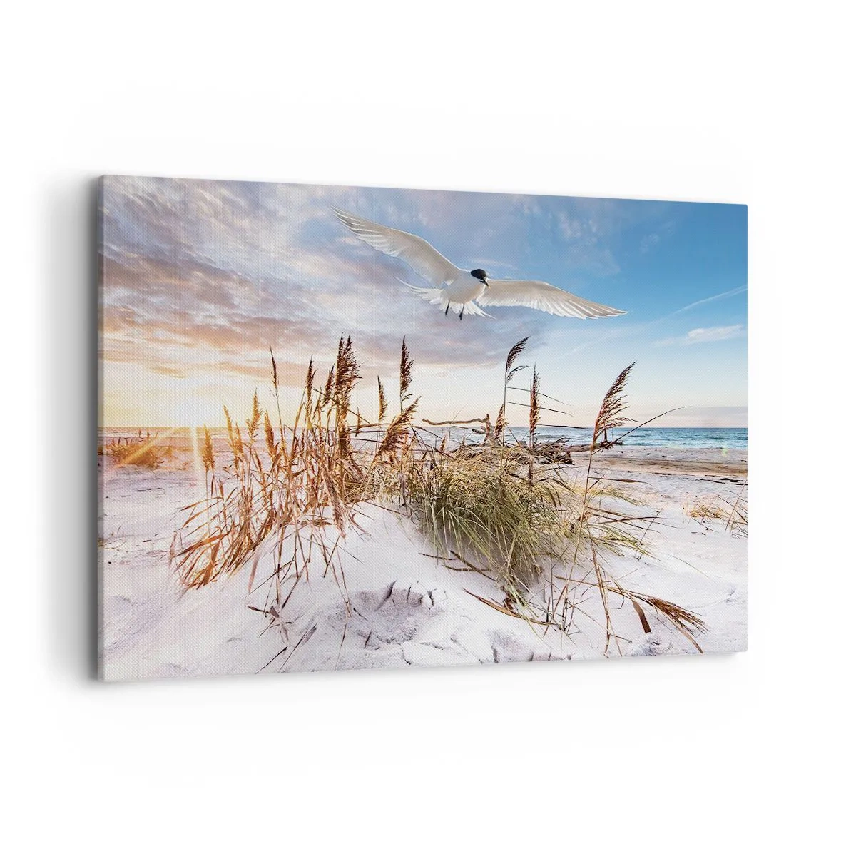 Cuadro sobre lienzo - Impresión de Imagen - Playa con gaviotas volando al atardecer - 100x70cm - Viento del mar - Decoración de pared moderna para salón y dormitorio ARTTOR