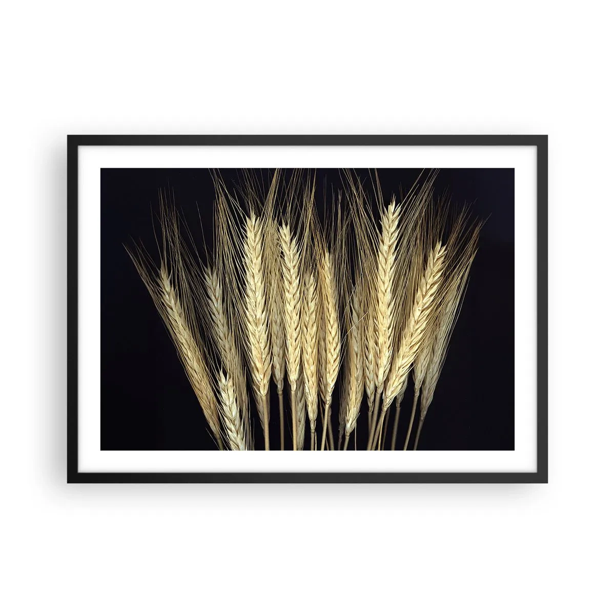 Póster en marco negro - Espigas de trigo sobre fondo negro en estilo rústico - 70x50cm - Magia rústica - Decoración de pared moderna para salón y dormitorio ARTTOR