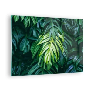 Cuadro sobre vidrio - Impresiones sobre Vidrio - Exuberantes hojas verdes de monstera bajo la luz natural. - 70x50cm - Sumérjase en la frescura - Decoración de pared moderna para salón y dormitorio ARTTOR