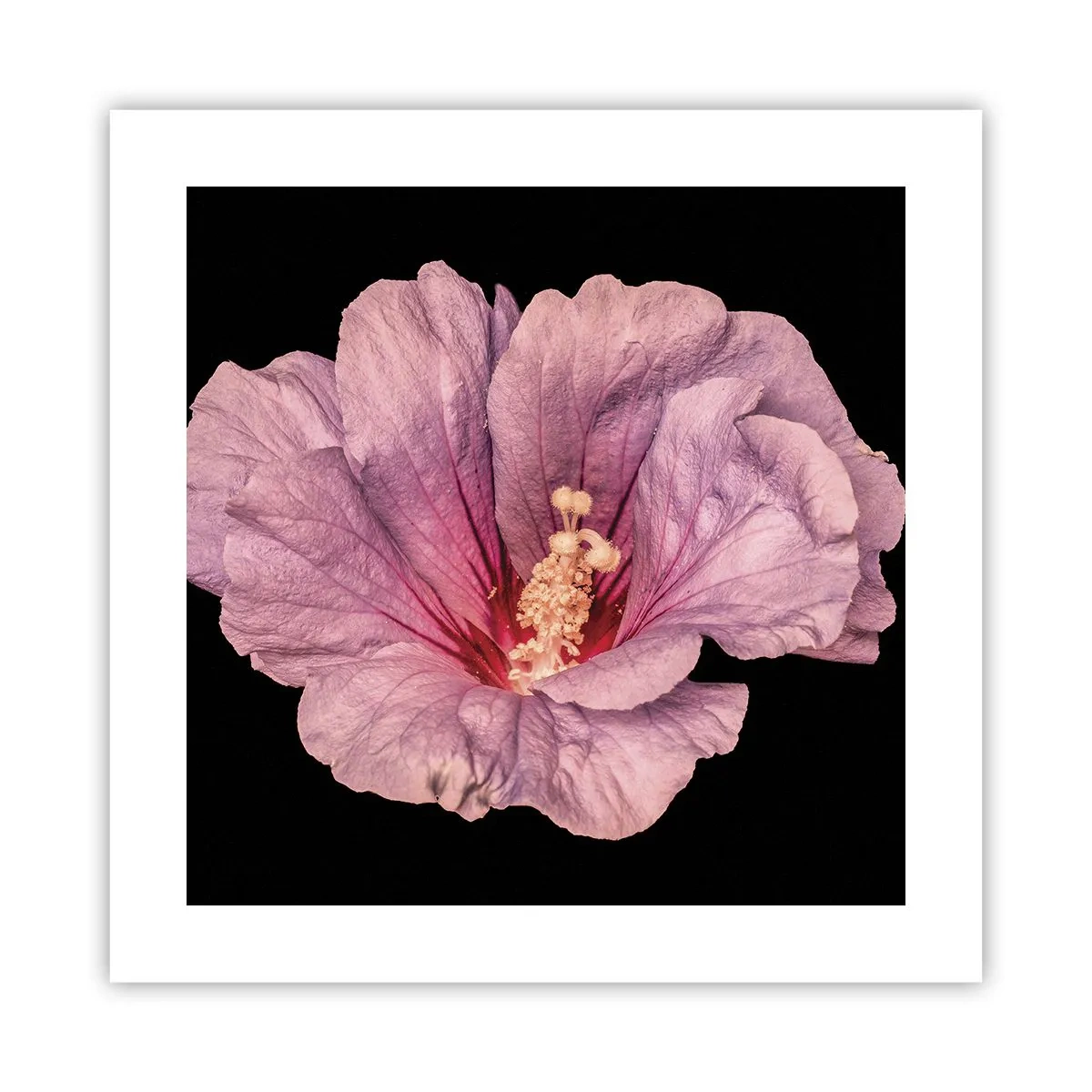 Póster - Directo al corazón - 40x40 cm