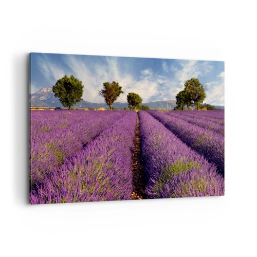 Cuadro sobre lienzo - Impresión de Imagen - Un campo de lavanda con árboles con el telón de fondo de montañas y cielo. - 120x80cm - Campos de lavanda - Decoración de pared moderna para salón y dormitorio ARTTOR