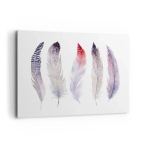 Cuadro sobre lienzo - Impresión de Imagen - Cinco delicadas plumas en tonos pastel sobre un fondo claro. - 120x80cm - Suave como la niebla de muchos colores - Decoración de pared moderna para salón y dormitorio ARTTOR