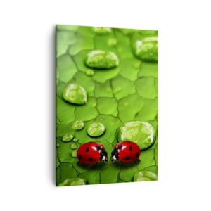 Cuadro sobre lienzo - Impresión de Imagen - Dos mariquitas en una hoja con gotas de agua en fotografía macro - 50x70cm - Reunión sobre verde - Decoración de pared moderna para salón y dormitorio ARTTOR
