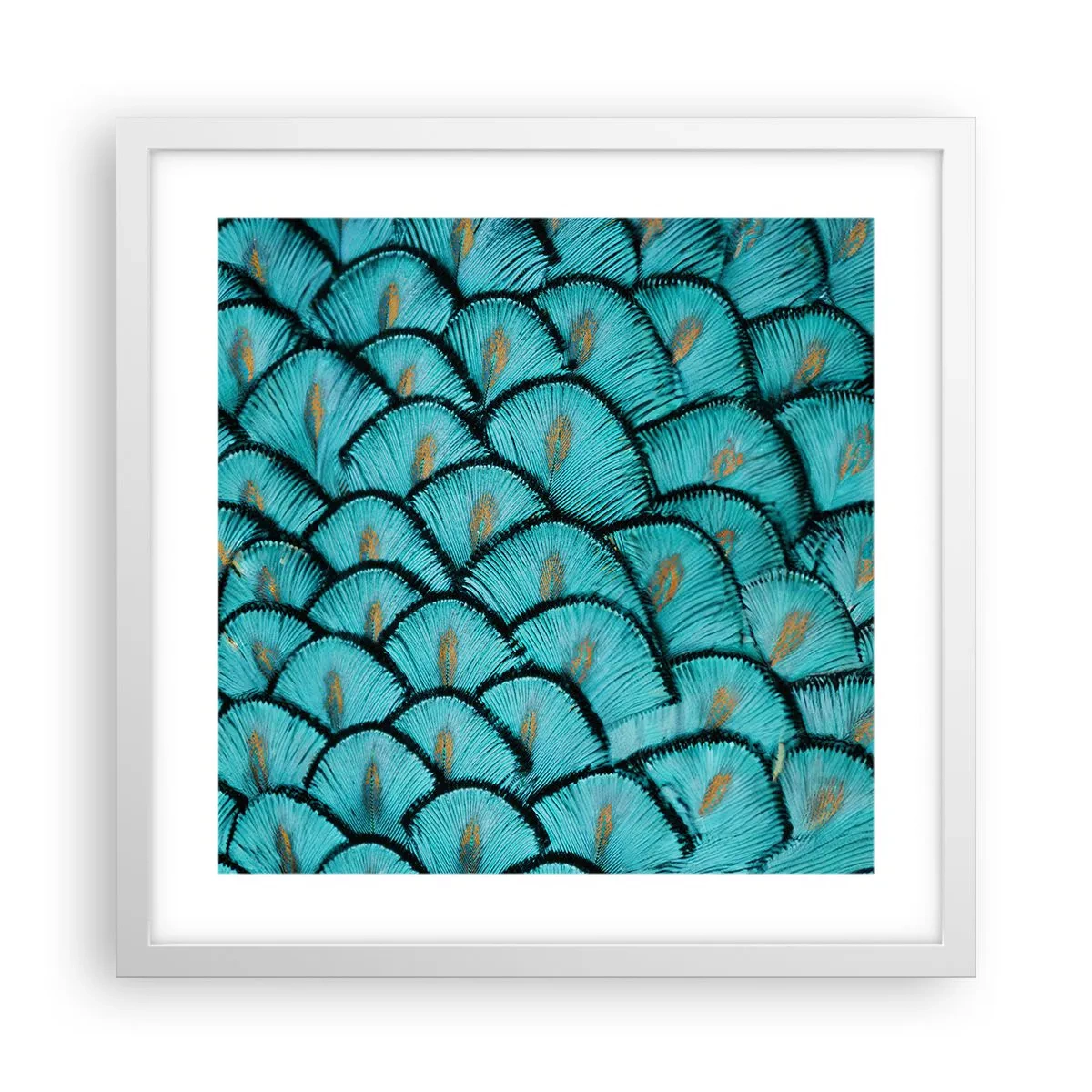 Póster en marco blanco - La gran gala de las plumas - 40x40 cm