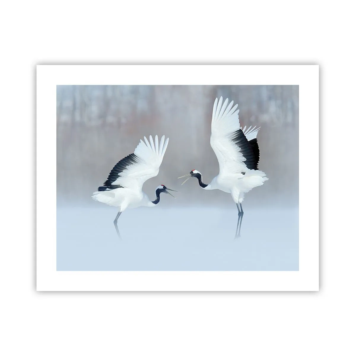 Póster - Danza en la niebla - 50x40 cm