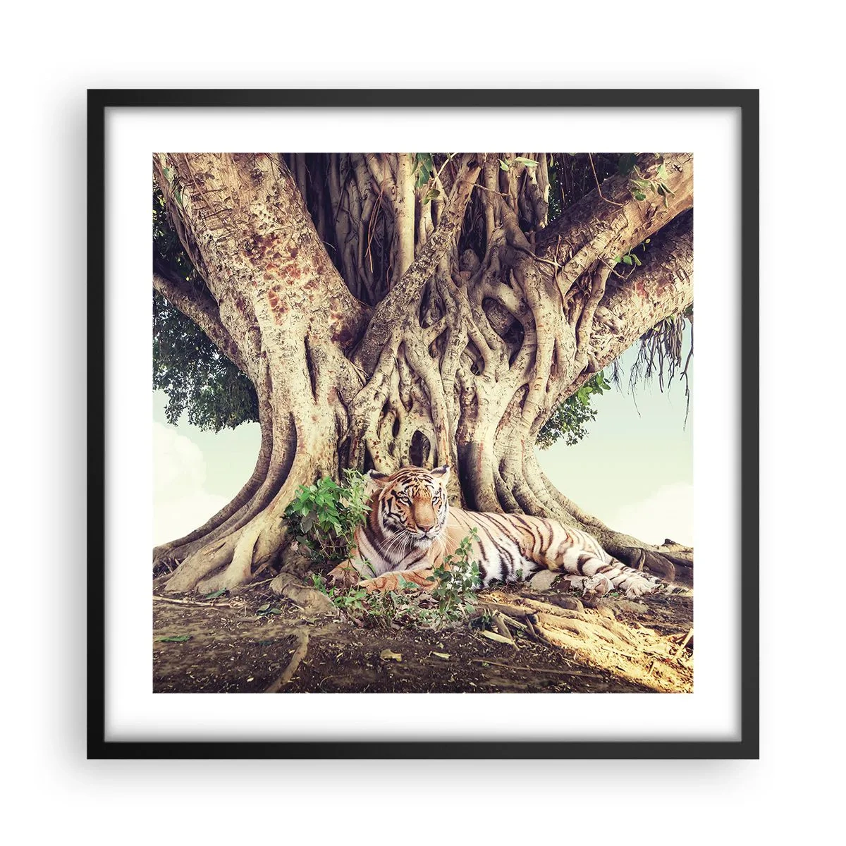 Póster en marco negro - Una visión desde el Génesis - 50x50 cm