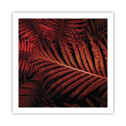 Póster - Las brasas de la vida - 60x60 cm