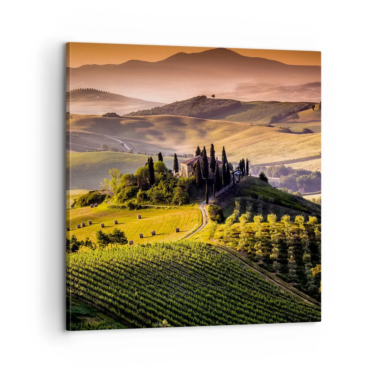 Cuadro sobre lienzo - Impresión de Imagen - Paisaje toscano - 60x60 cm