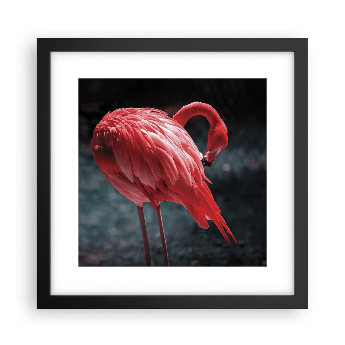 Póster en marco negro - Un poema carmesí de la naturaleza - 30x30 cm