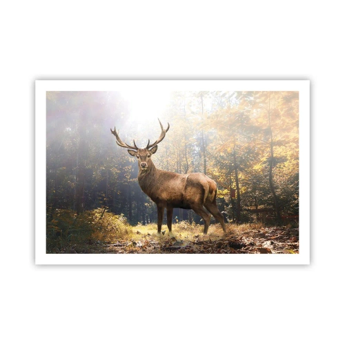 Póster - Con toda la majestuosidad - 91x61 cm