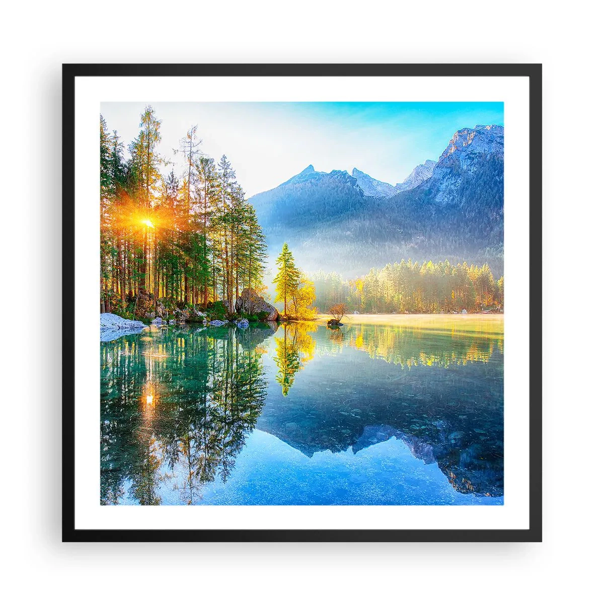 Póster en marco negro - Majestuosidad y dulzura - 60x60 cm