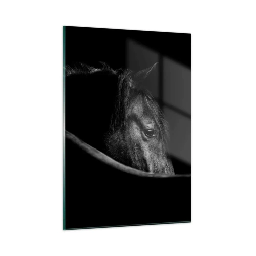 Cuadro sobre vidrio - Impresiones sobre Vidrio - Perfil de un caballo negro en la sombra con un ojo visible - 50x70cm - Príncipe negro - Decoración de pared moderna para salón y dormitorio ARTTOR