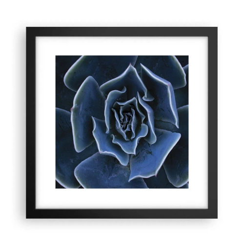 Póster en marco negro - Flor del desierto - 30x30 cm
