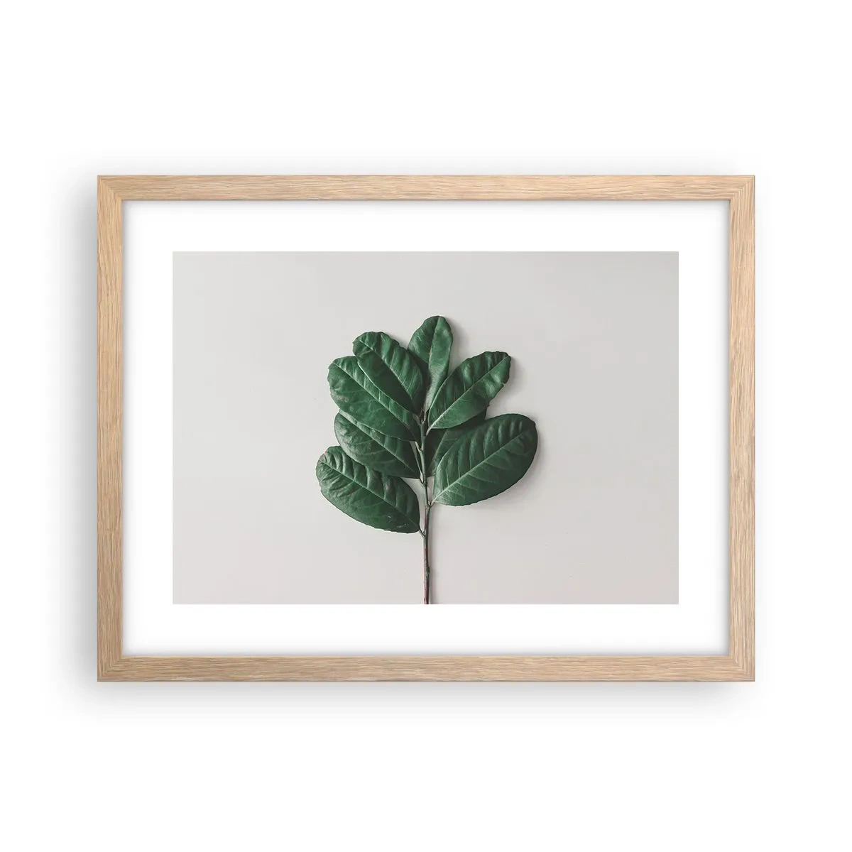 Póster en marco roble claro - El dibujo de la propia naturaleza - 40x30 cm