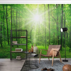 Fotomural Standard Eco - Bosque verde con rayos de sol y un camino entre los árboles. - 100x70cm - Catedral verde - Decoración de pared moderna para salón y dormitorio ARTTOR
