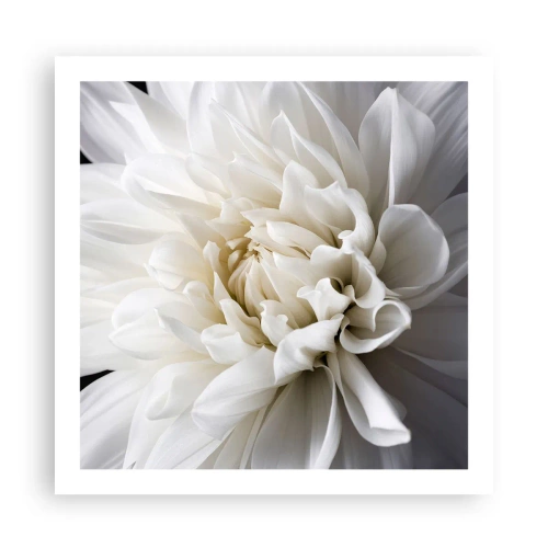 Póster - La novia de la mañana - 60x60 cm