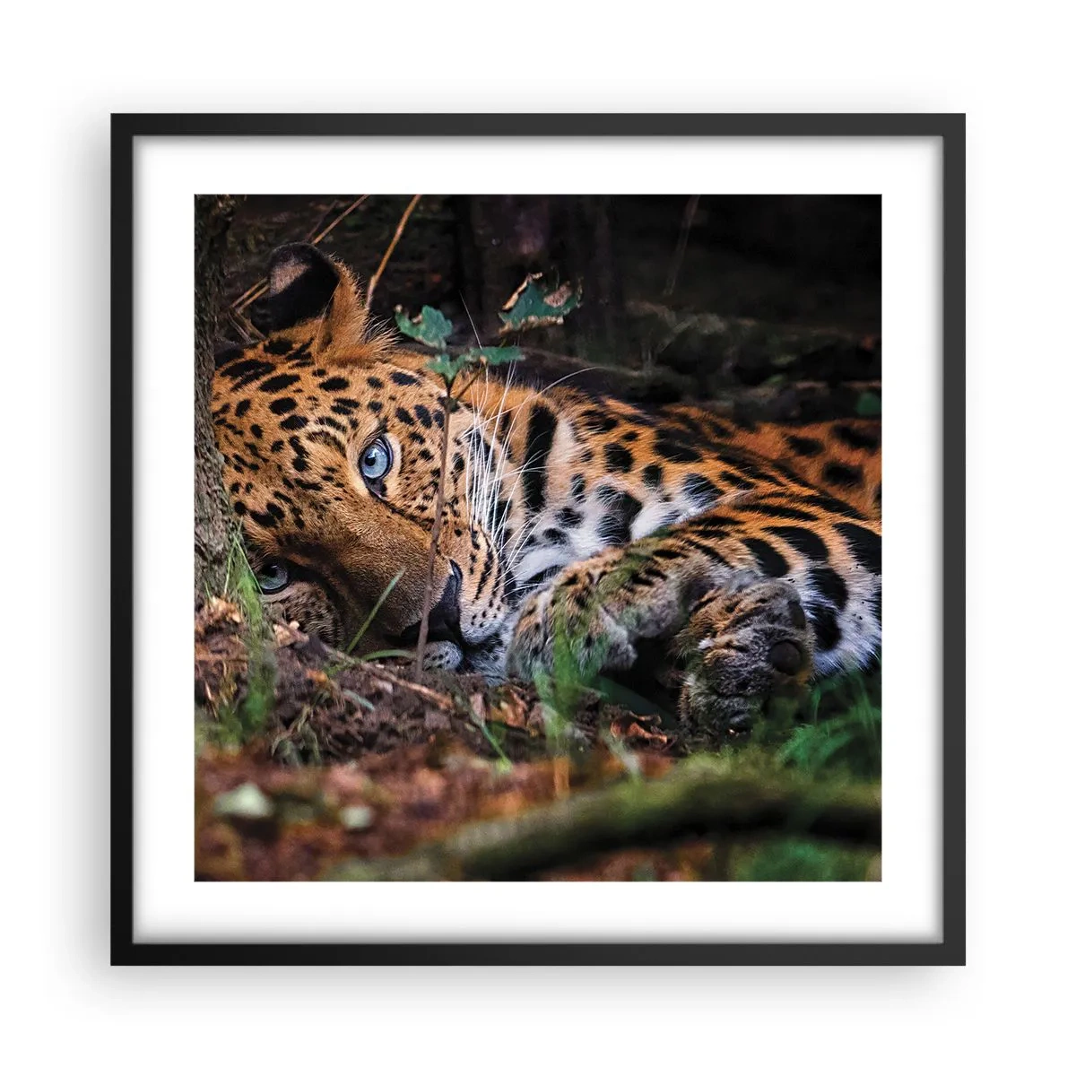 Póster en marco negro - Confía en mí - 50x50 cm