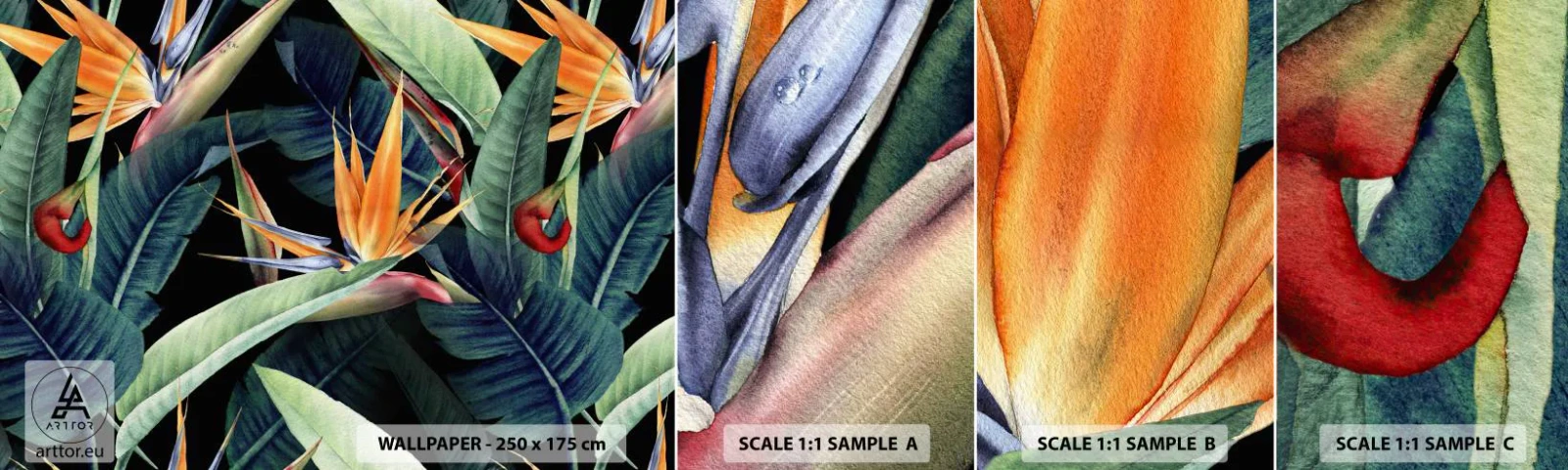 Muestra de fotomural autoadhesivo Deluxe Sticker - Flores de llamas de los trópicos - Strelitzia real, Flor, África - 100x30 cm