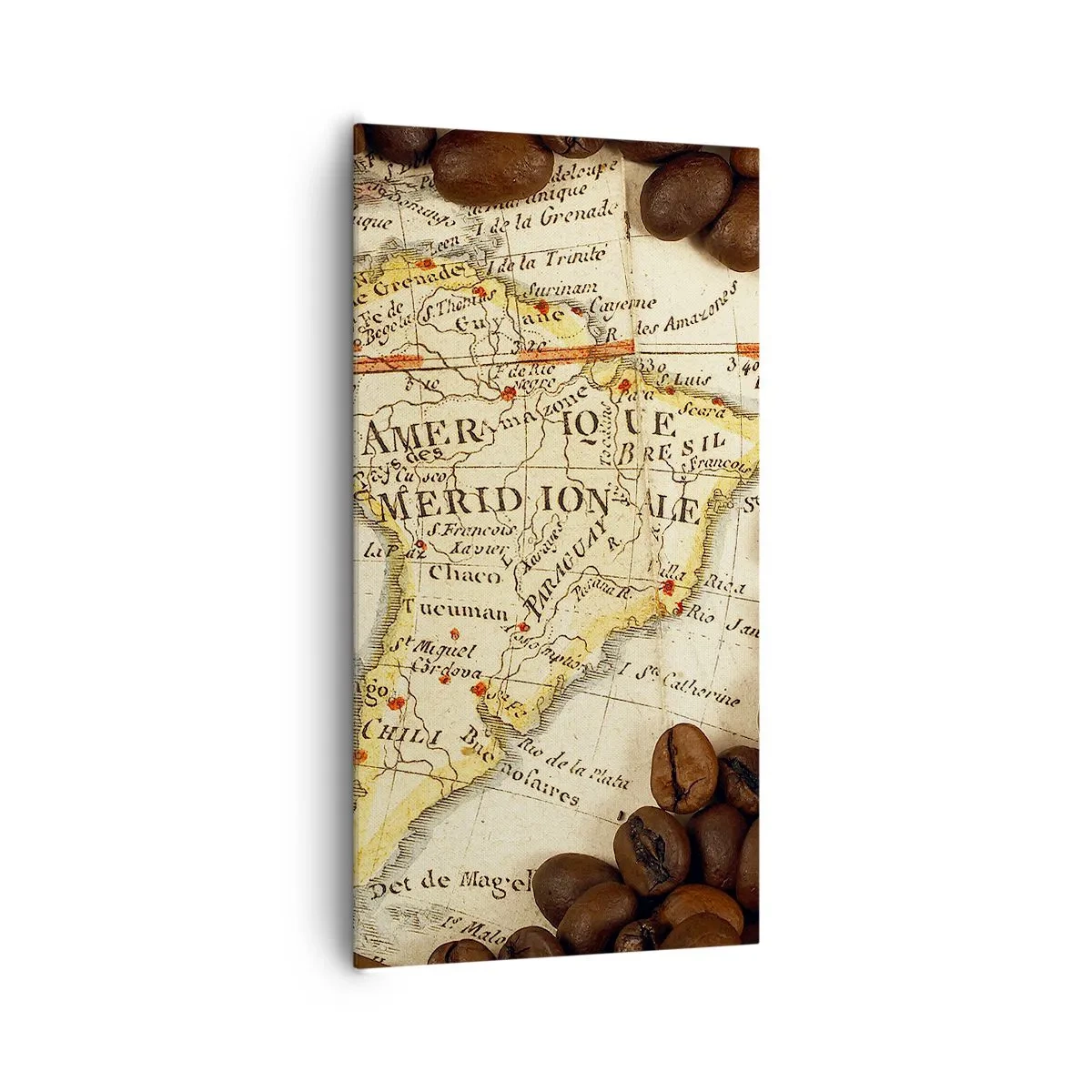 Cuadro sobre lienzo - Impresión de Imagen - ¿De dónde viene el mejor café? - 65x120 cm