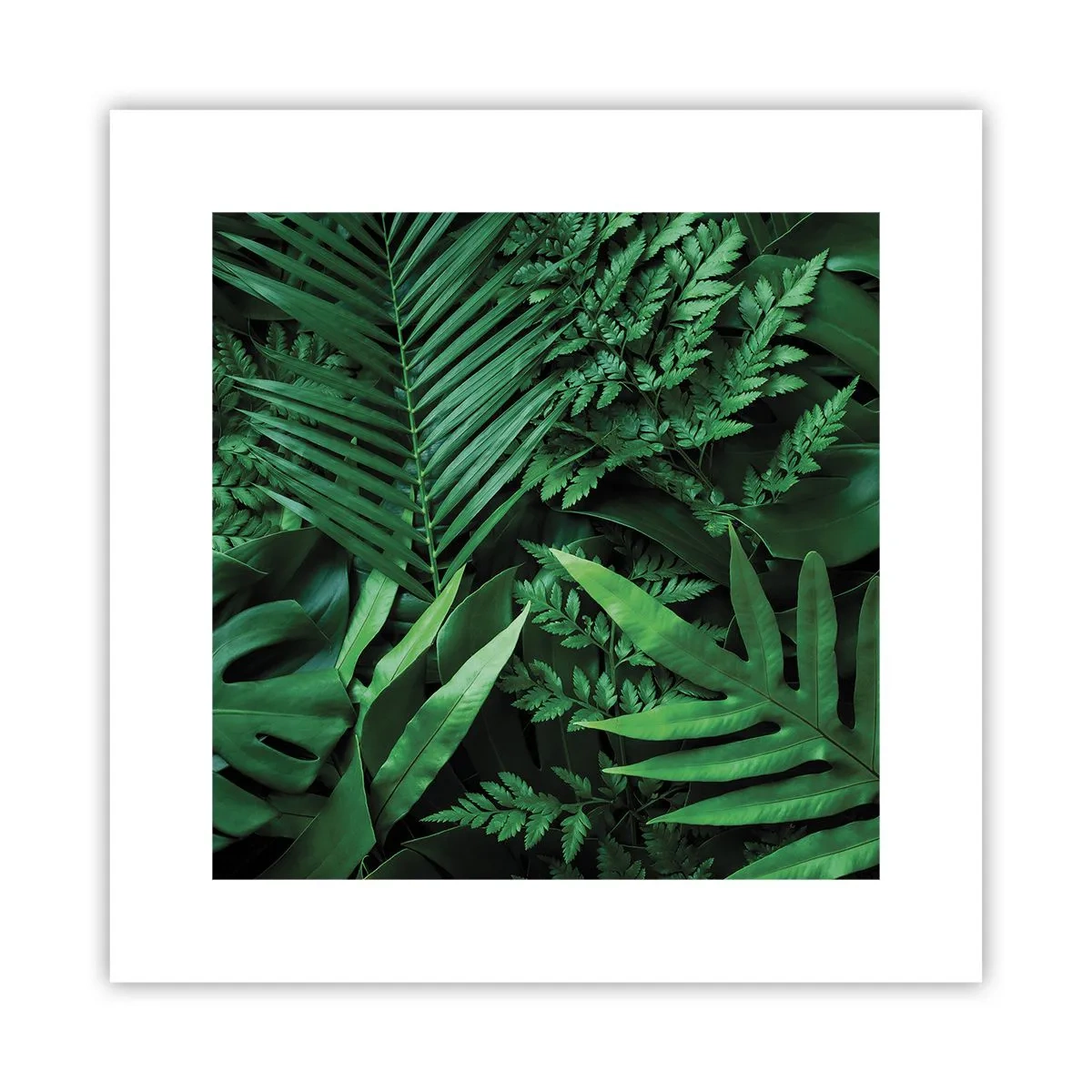 Póster - Abrazo verde - 30x30 cm