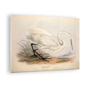 Cuadro sobre vidrio - Impresiones sobre Vidrio - Ilustración vintage de una garza blanca en la orilla del agua. - 70x50cm - Dama de los juncos - Decoración de pared moderna para salón y dormitorio ARTTOR