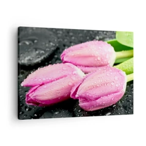 Cuadro sobre lienzo - Impresión de Imagen - Tres tulipanes rosas con gotas de agua sobre un fondo negro. - 70x50cm - Lilas sobre piedra negra - Decoración de pared moderna para salón y dormitorio ARTTOR