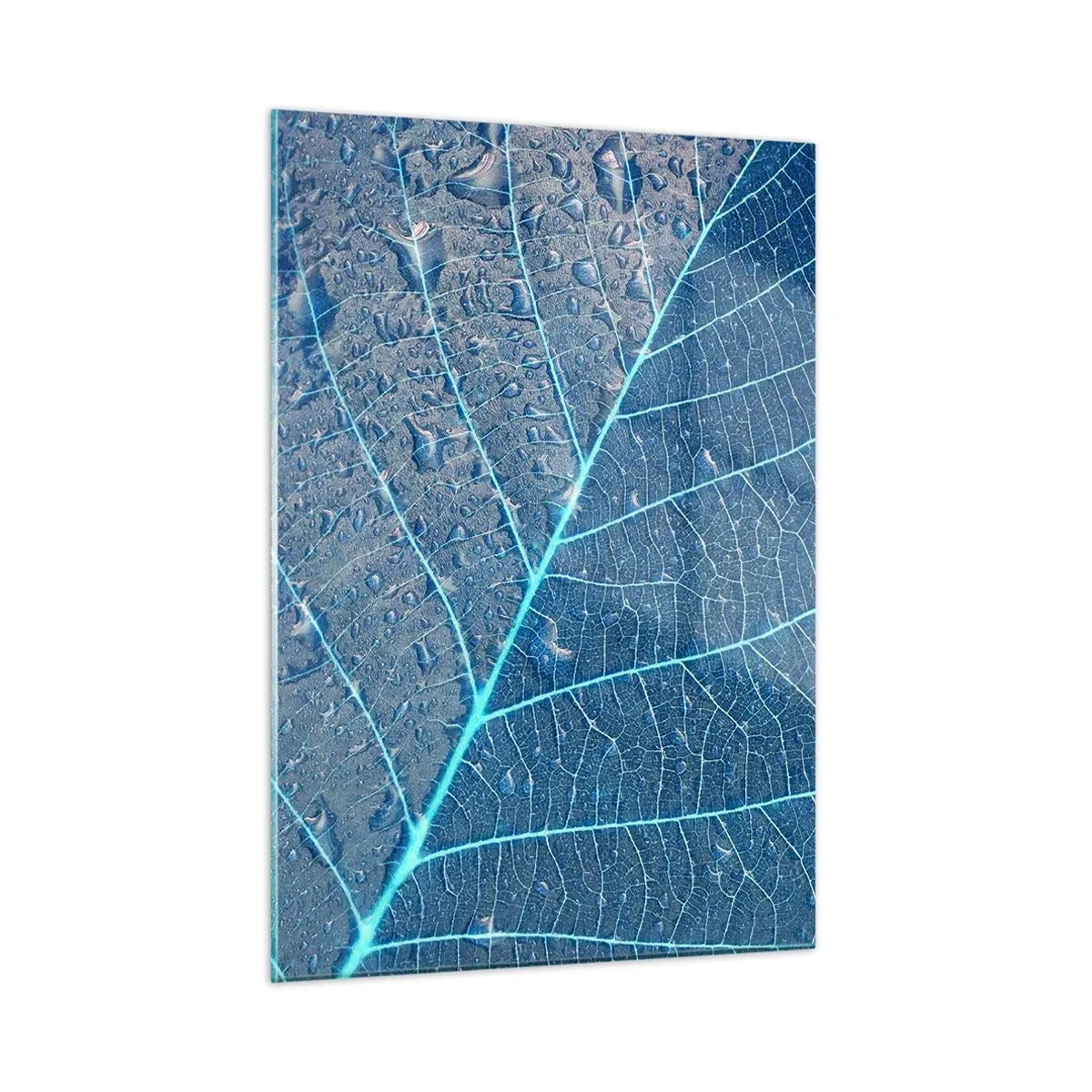 Cuadro sobre vidrio - Impresiones sobre Vidrio - Fotografía macro de una hoja con gotas de agua en tonos azules. - 50x70cm - Vida en el azul - Decoración de pared moderna para salón y dormitorio ARTTOR