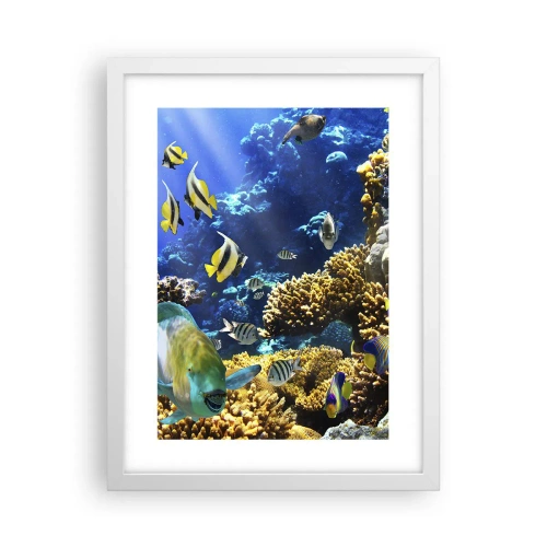 Póster en marco blanco - Vacaciones submarinas - 30x40 cm