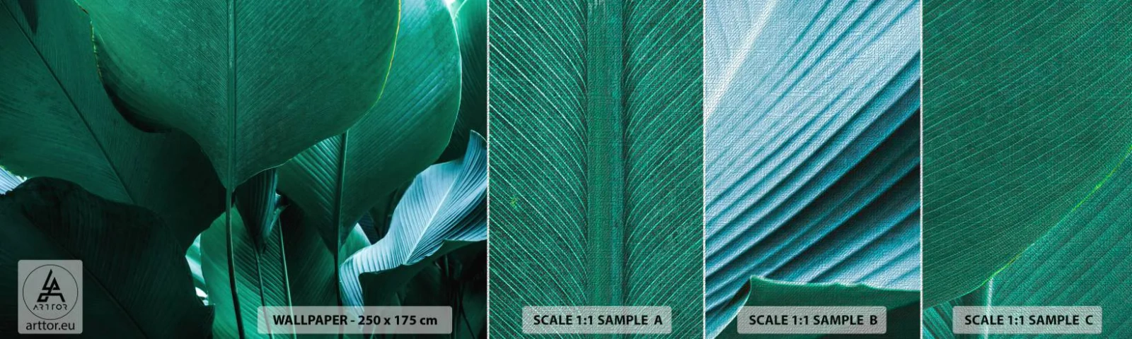 Muestra de fotomural Premium Canvas - De cara a la luz - Hoja de banana, Banano, Planta - 100x30 cm