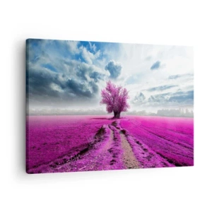 Cuadro sobre lienzo - Impresión de Imagen - Un árbol solitario en un campo de un tono rosa intenso. - 70x50cm - El brezal - un encanto - Decoración de pared moderna para salón y dormitorio ARTTOR